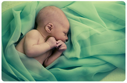 La mezcla bioquímica de aminoácidos del infante alimentado al seno es diferente a la del infante alimentado con fórmula y que existe el mecanismo por el cual una diferencia puede ser reflejada en el desarrollo cognitivo
