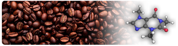 La cafeína (masa molar 194.19 g/mol) se conoce también como un alcaloide de purina
