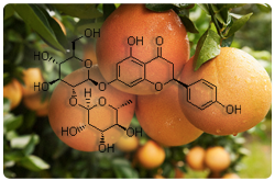 La 6',7'-dihidroxibergamotina (furanocoumarina) y la naringina (flavonoide) son algunos de los constituyentes del jugo de toronja que pueden interactuar con el medicamento